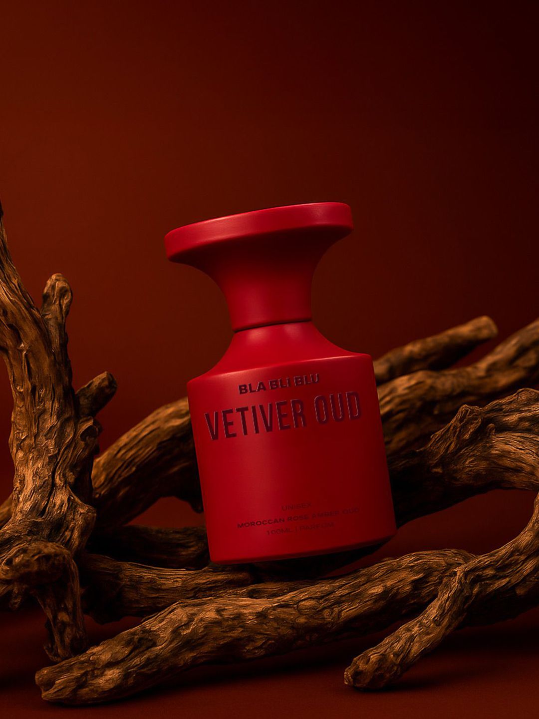 BLA BLI BLU Vetiver Oud Long-Lasting Perfume - 100 ml-picture-14