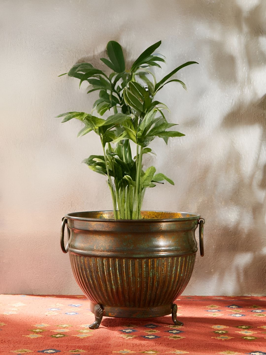Fabindia Heer Teal-Blue & Brown Textured Floor Planter-image-38