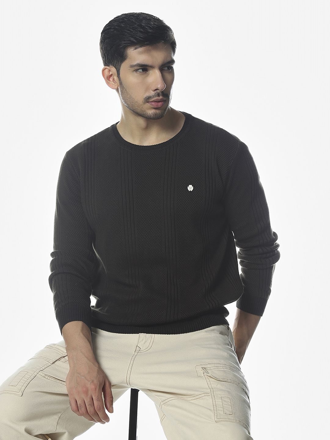 Klub Fox Men Round Neck Pullover Sweaters-picture-25