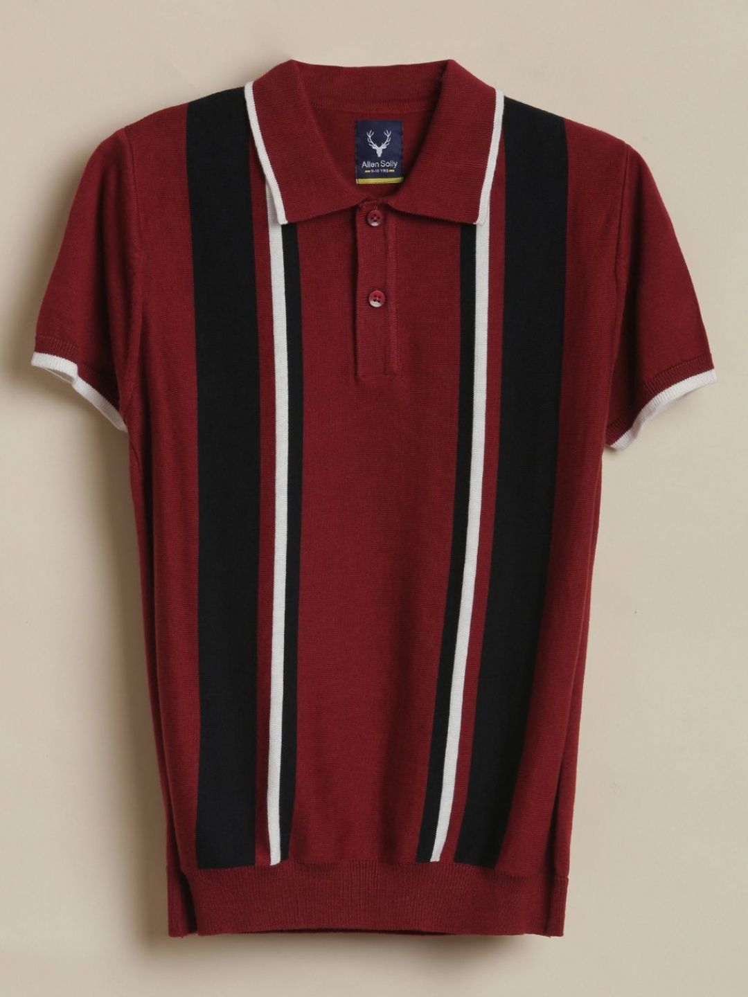 Allen Solly Junior Boys Striped Polo Collar Pure Cotton Regular Fit T-shirt-picture-12