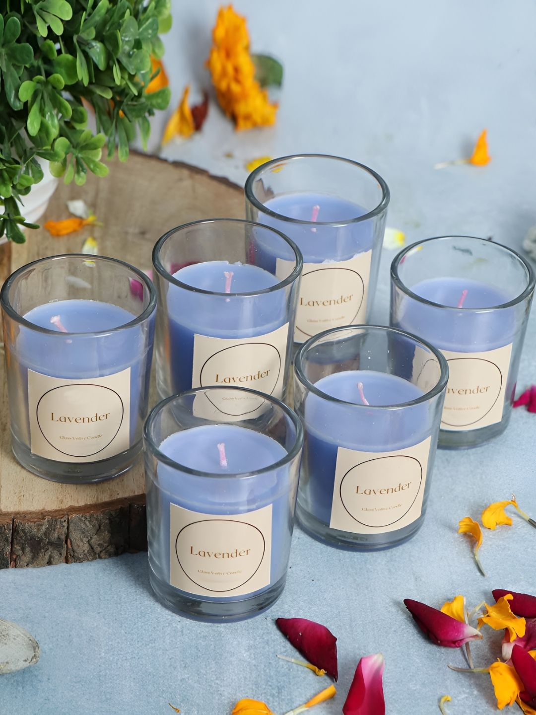 EarthCraft Pack of 6 Transparent & Lavinder Pillar Candle-image-31