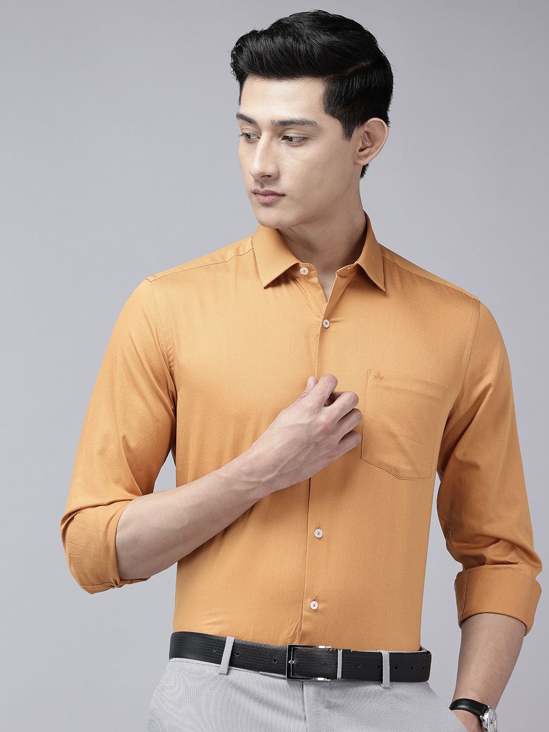 Arrow Manhattan Slim Fit Pure Cotton Formal Shirt-picture-25