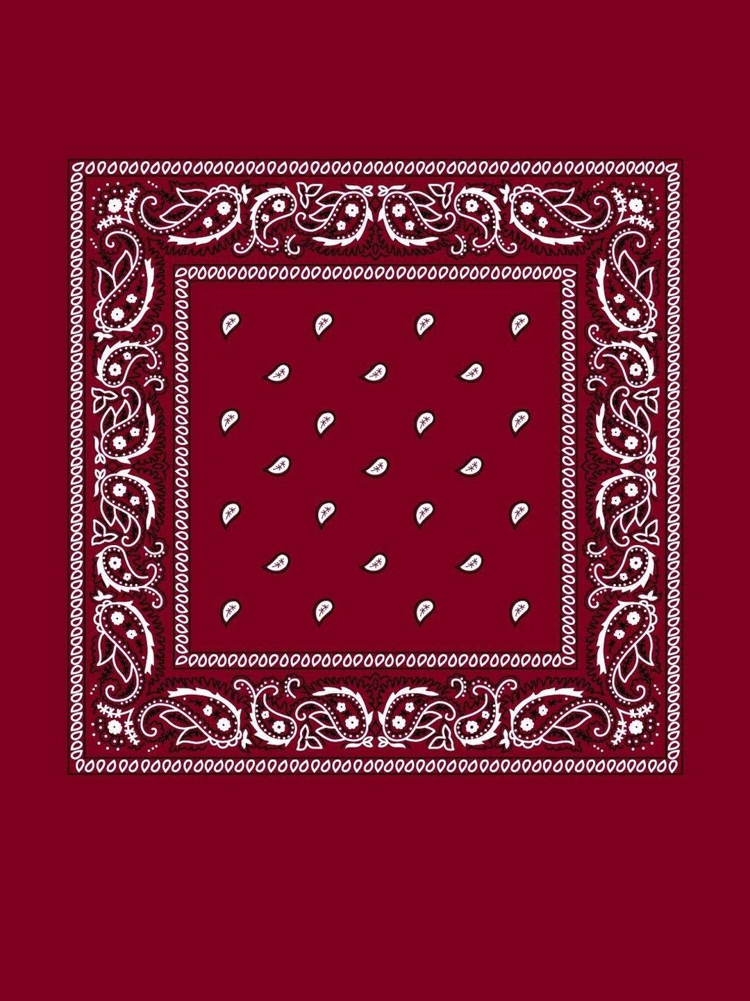 Navkar Crafts Unisex Paisley Bandana Headband-picture-58