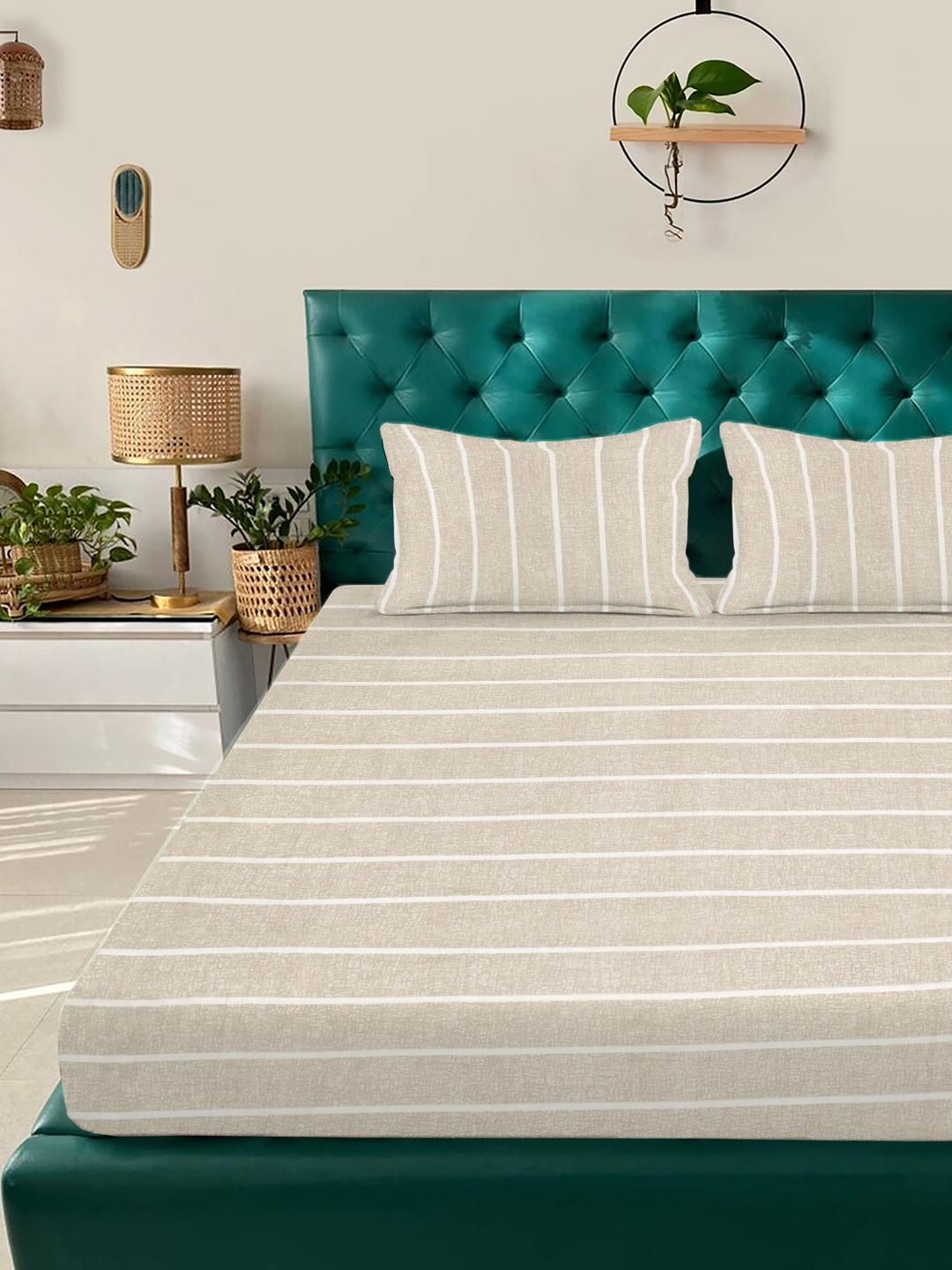 KLOTTHE Beige & White Striped 300 TC Fitted King Bedsheet with 2 Pillow Covers-picture-12