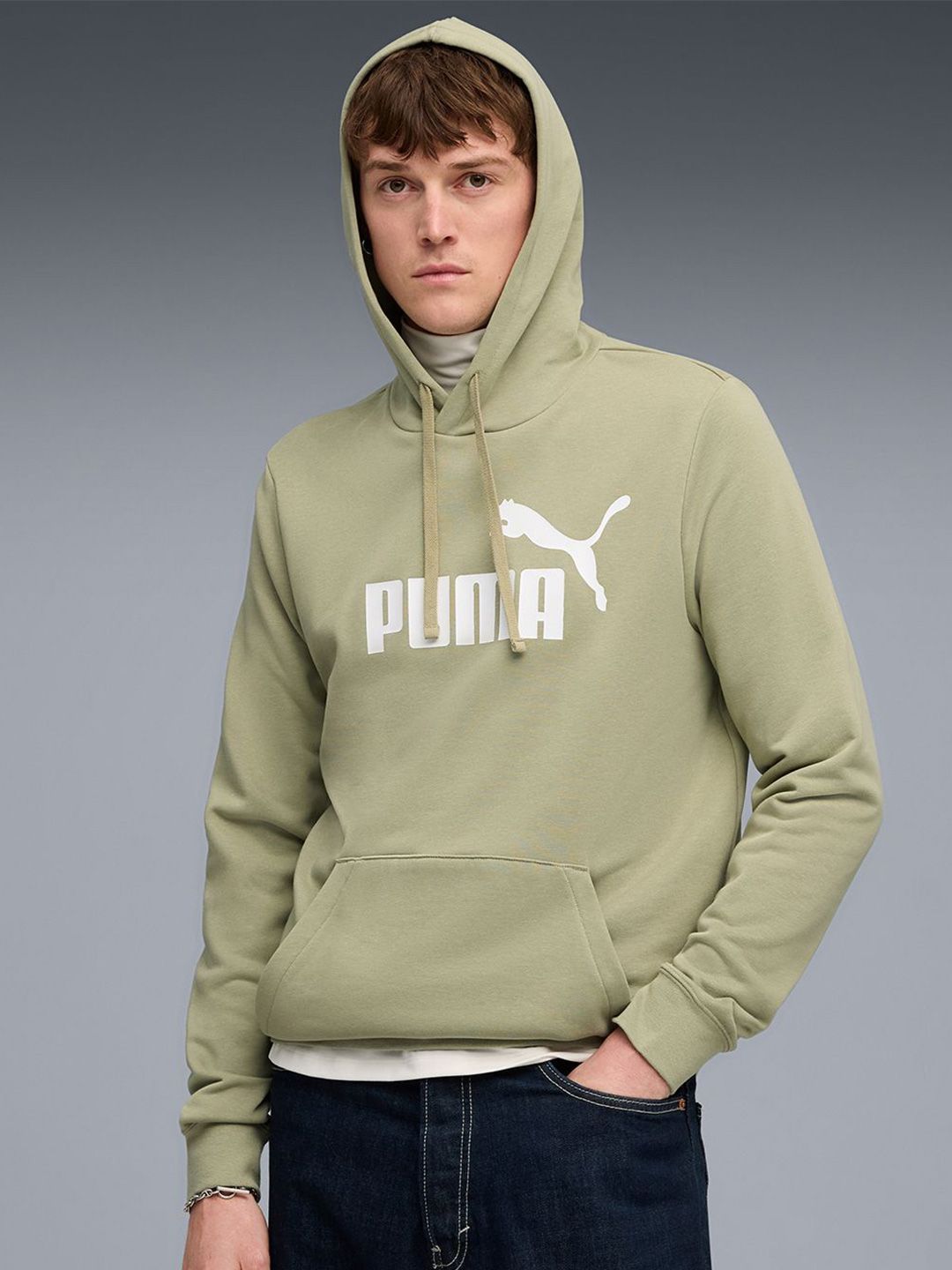 Puma Essentials No. 1 Logo Men's Rubber Print Hoodie-picture-14
