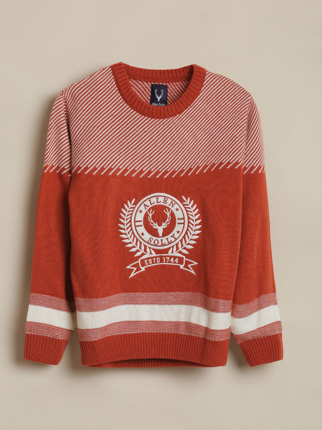 Allen Solly Junior Boys Embroidered Round Neck Pullover