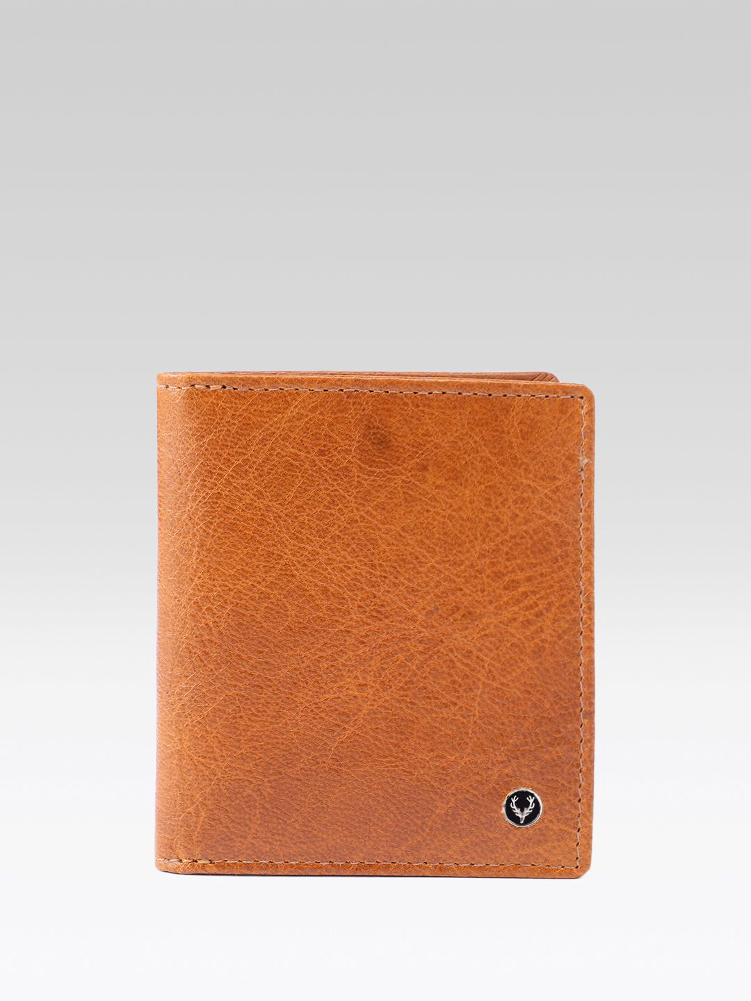 Allen Solly Men Textured Leather Two Fold Wallet-picture-28