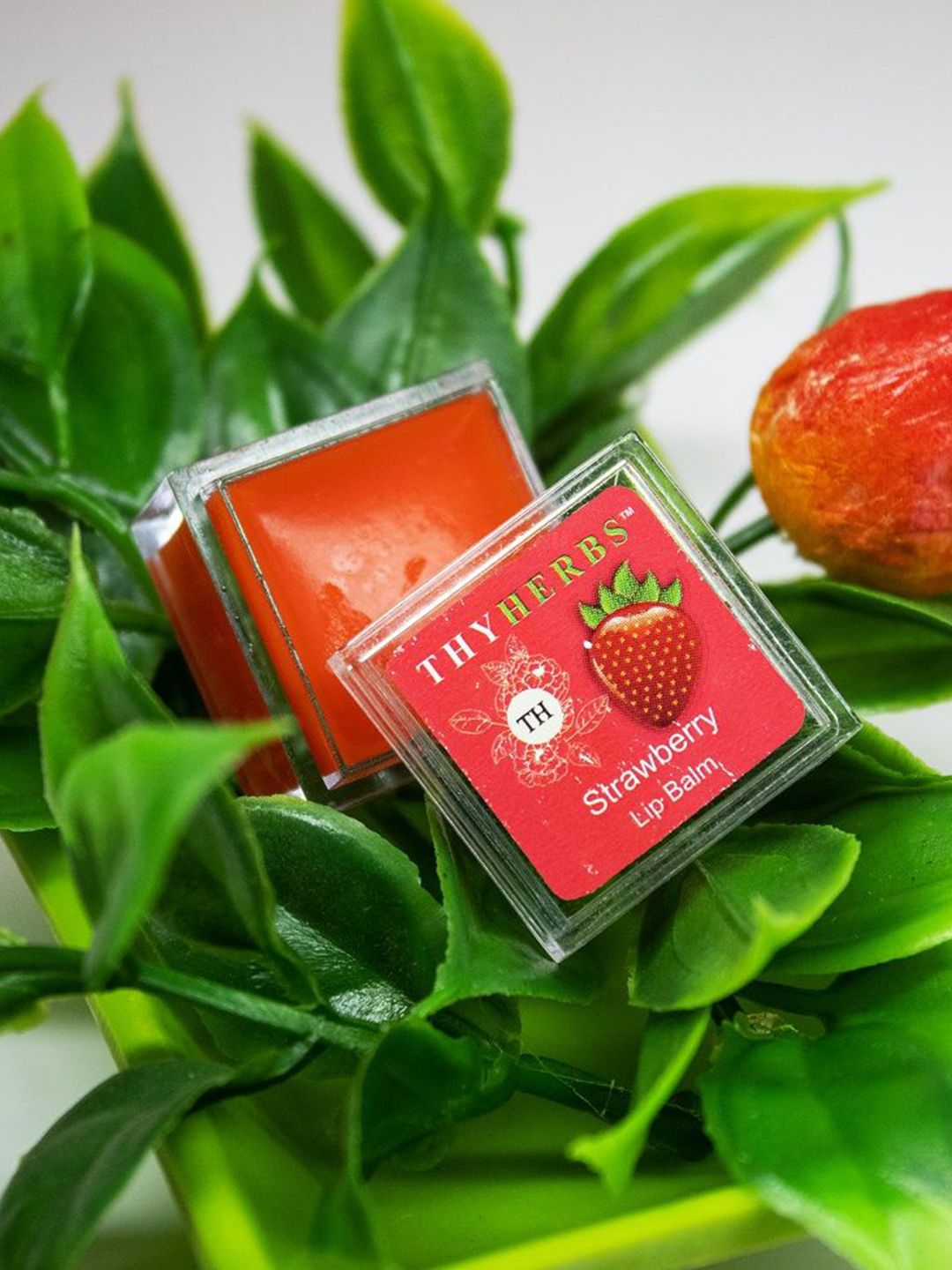 Thyherbs Strawberry Lip Balm- 3 g-picture-19