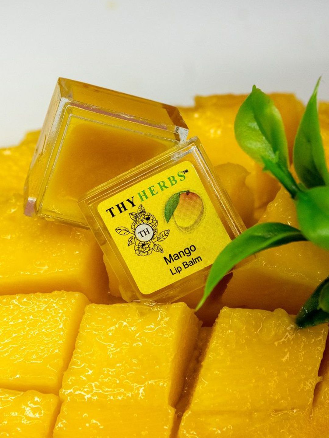 Thyherbs Mango Lip Balm- 3 g-image-2