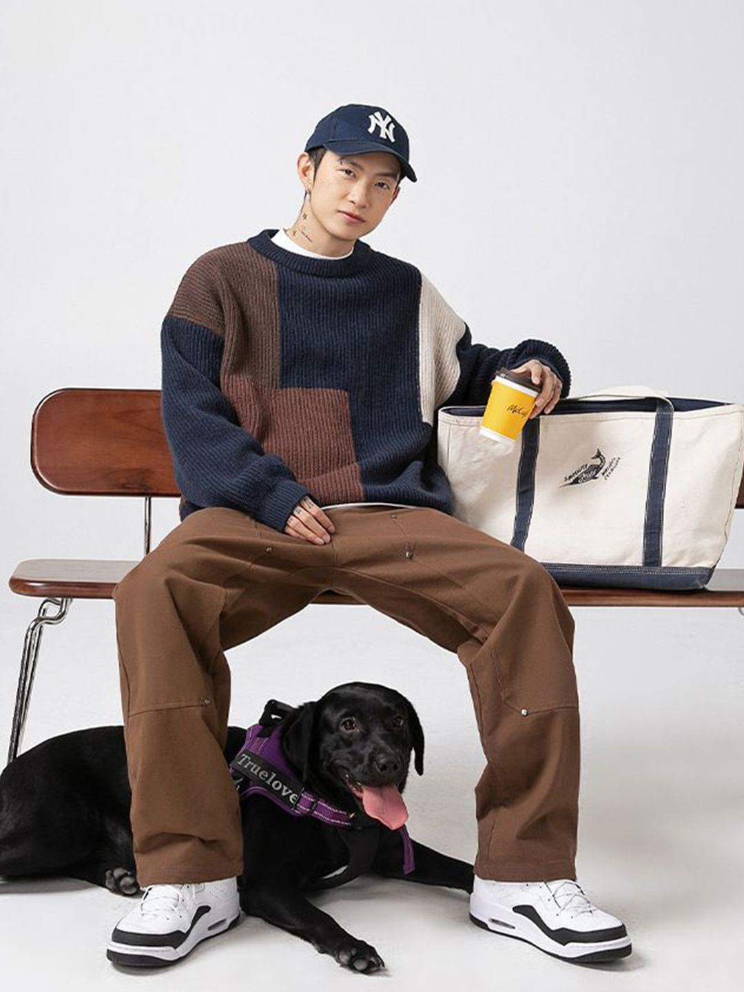 Mast & Harbour Women Colourblocked Round Neck Pullover