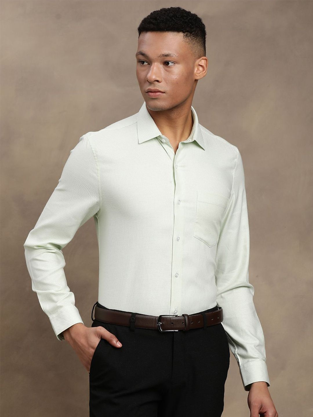 Turtle Standard Spread Collar Pure Cotton Slim Fit Formal Shirt-picture-10