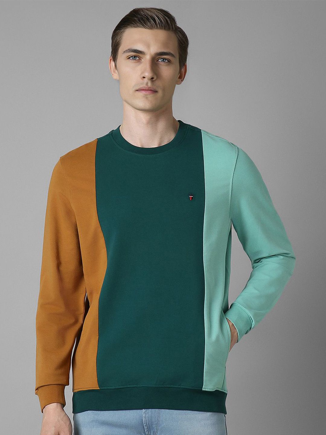 Louis Philippe Sport Men Colourblocked Pullover Sweatshirt-picture-21
