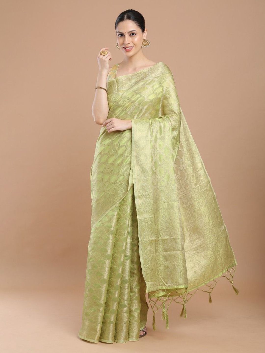 House of Pataudi Woven Design Jacquard Zari Banarasi Saree With Blouse Piece-picture-38