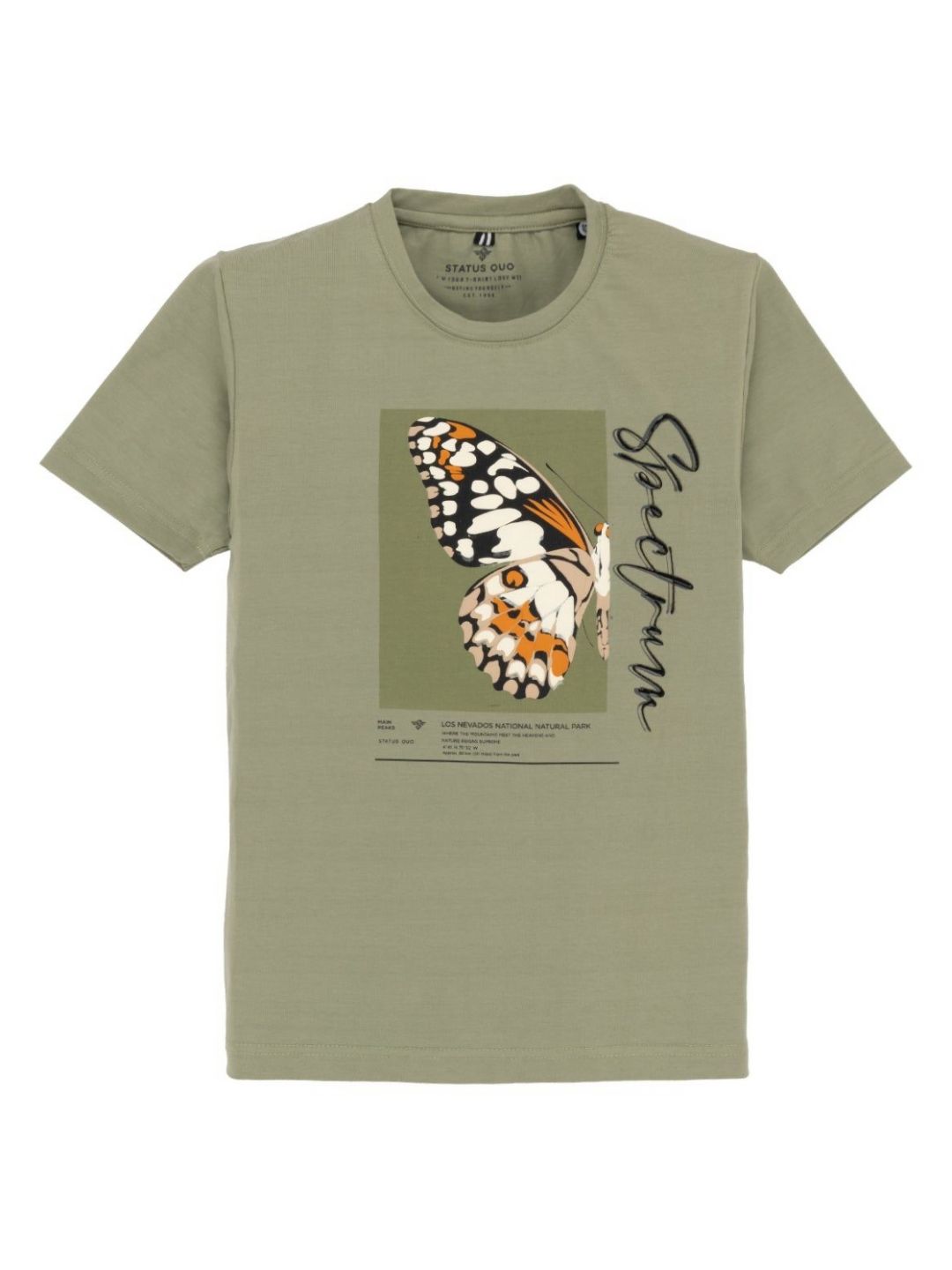 Status Quo Boys Graphic Printed Round Neck T-shirt-picture-24