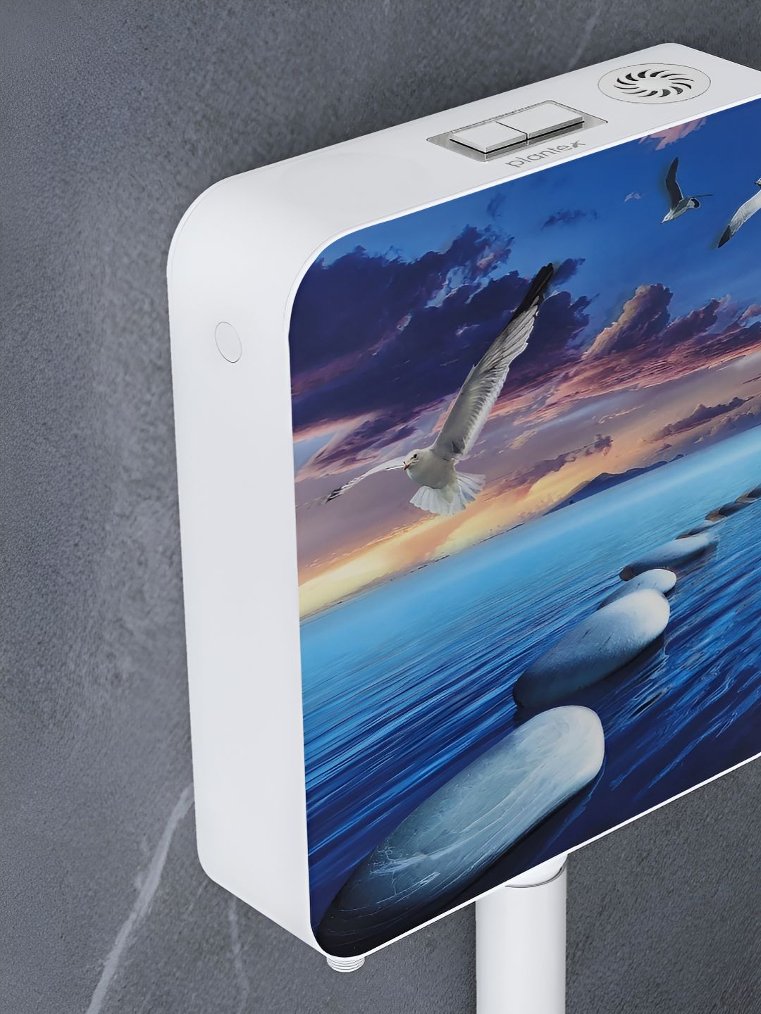 Plantex Black Core Flush Tank-picture-49