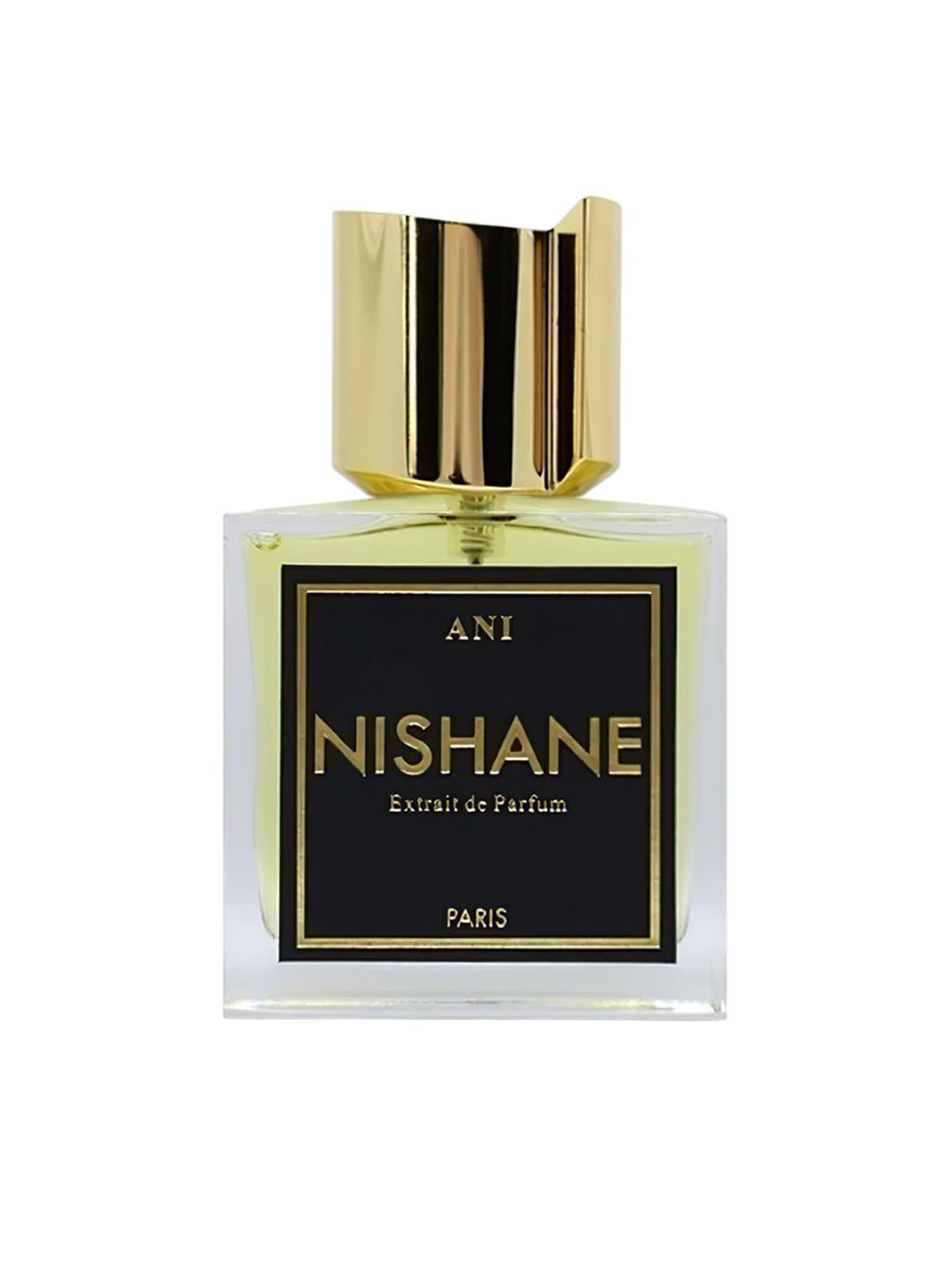 Nishane Ani Long Lasting Ea De Parfum - 100 ml-image-36