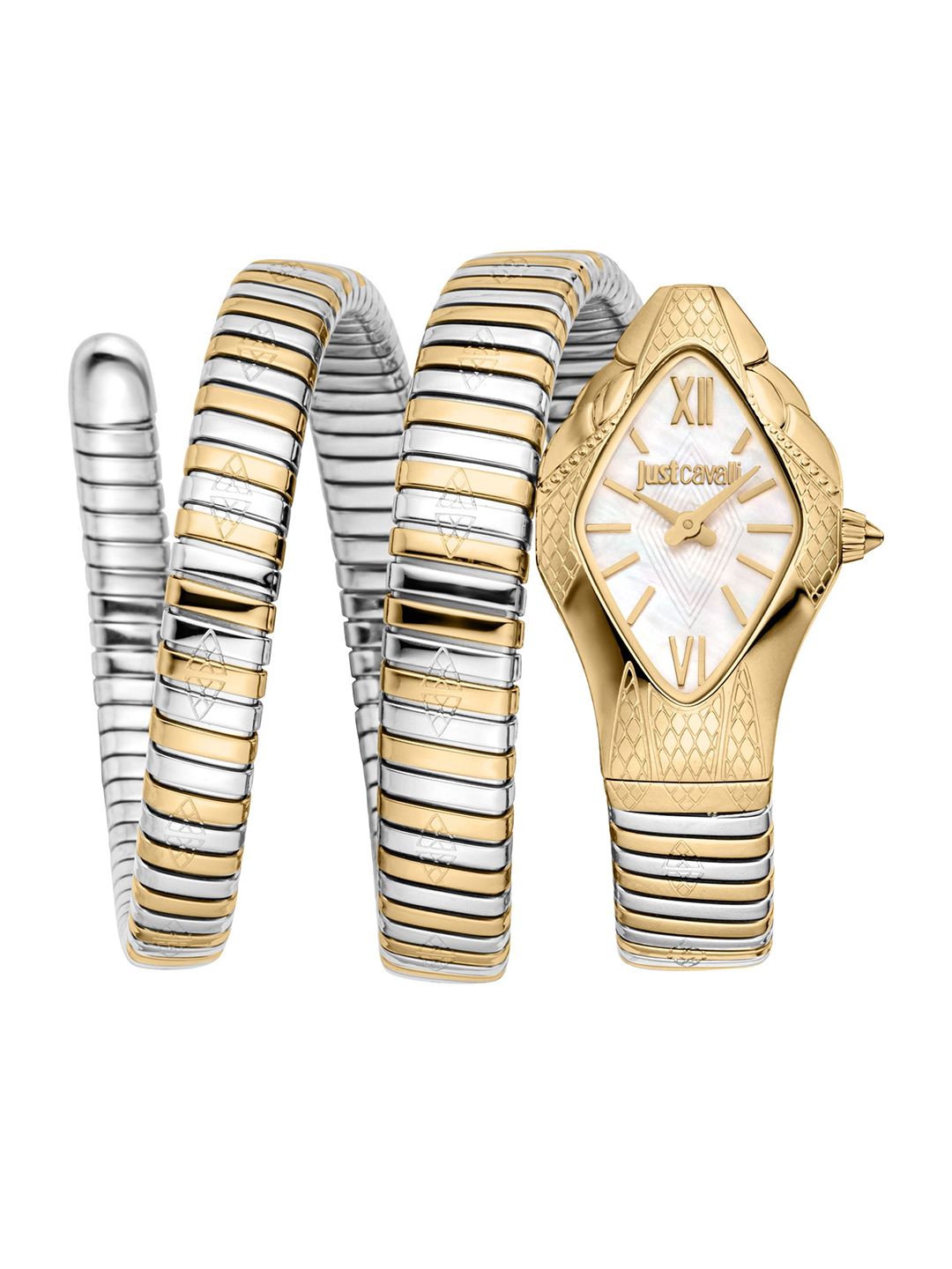 Just Cavalli Women Printed Dial & Stainless Steel Straps Analogue Watch JC1L307M0055-picture-20