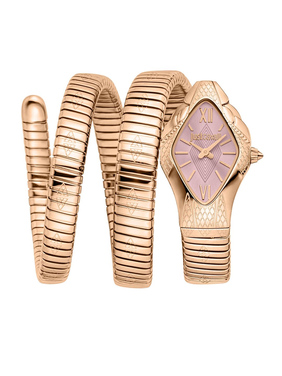 Just Cavalli Women Patterned Dial & Stainless Steel Straps Analogue Watch JC1L307M0045-image-48