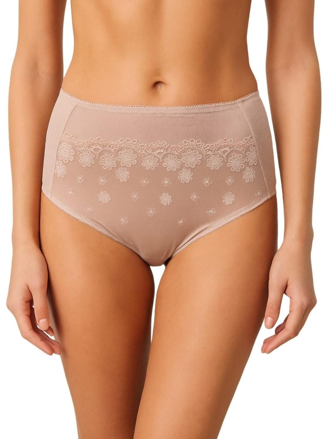 Blush Lado Women High-Rise Seamless Nylon Basic Briefs-image-27
