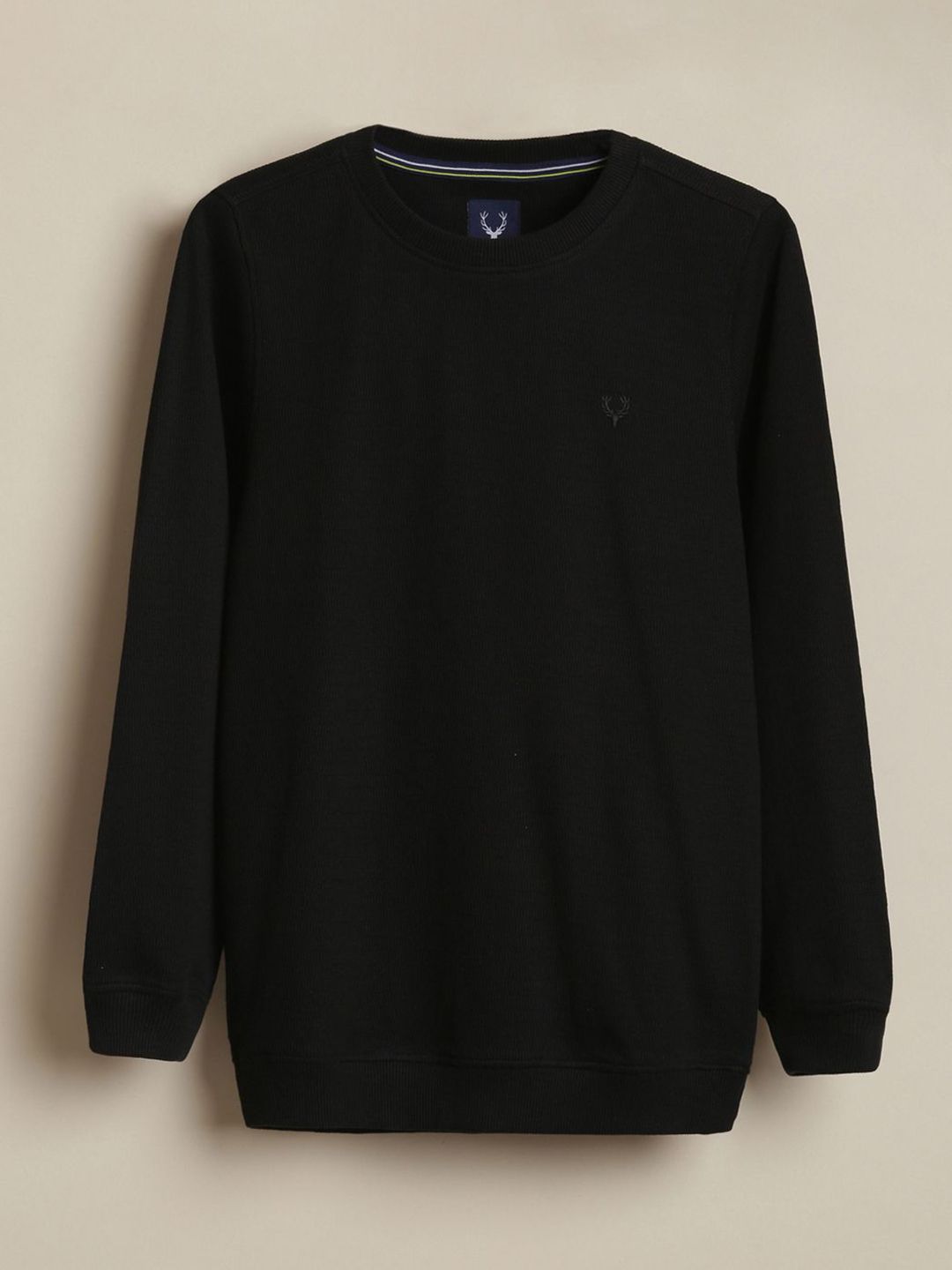 Allen Solly Junior Boys Pullover Sweatshirt