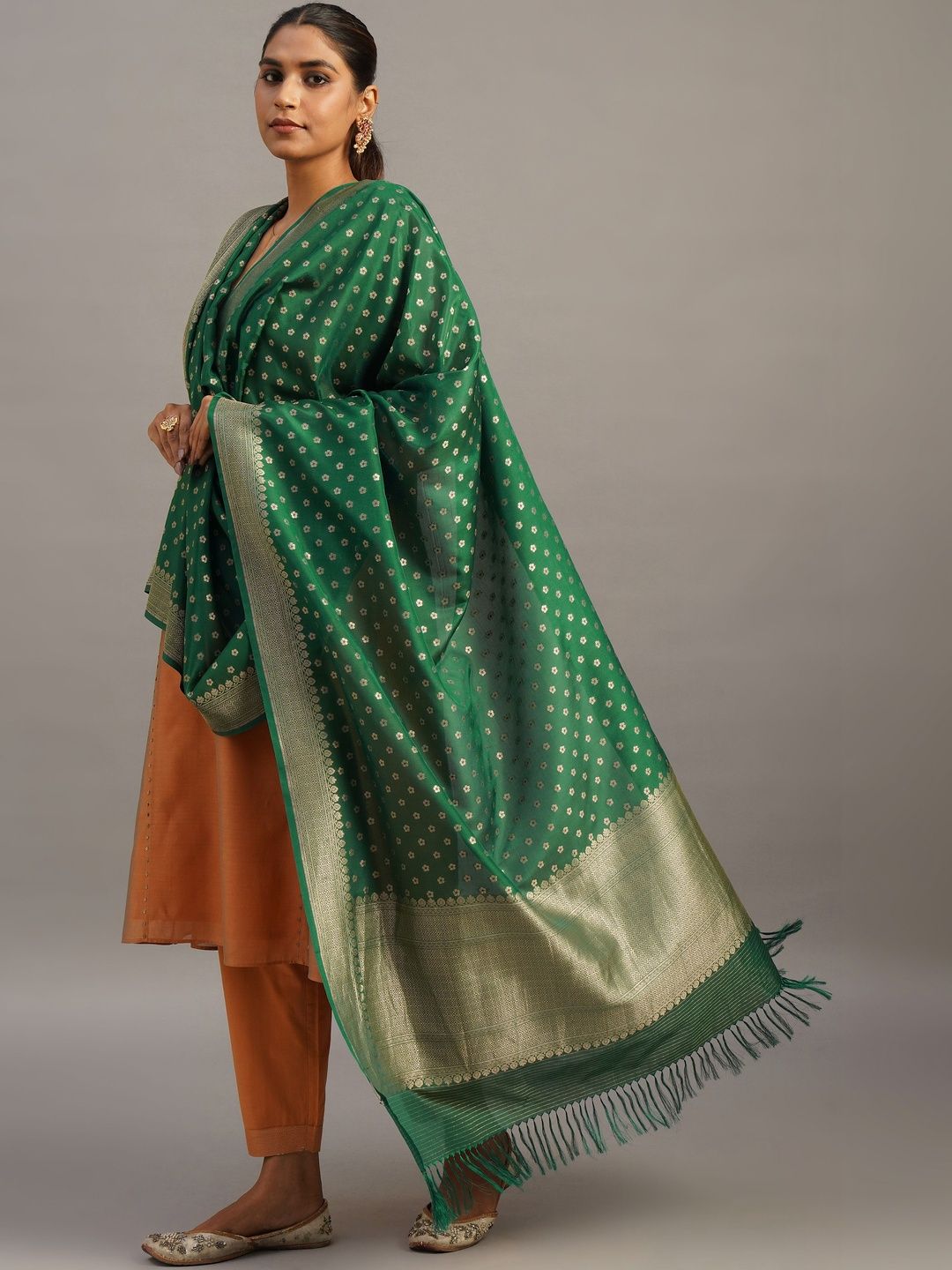 JAYPORE Ethnic Motifs Woven Design Dupatta with Zari-picture-39