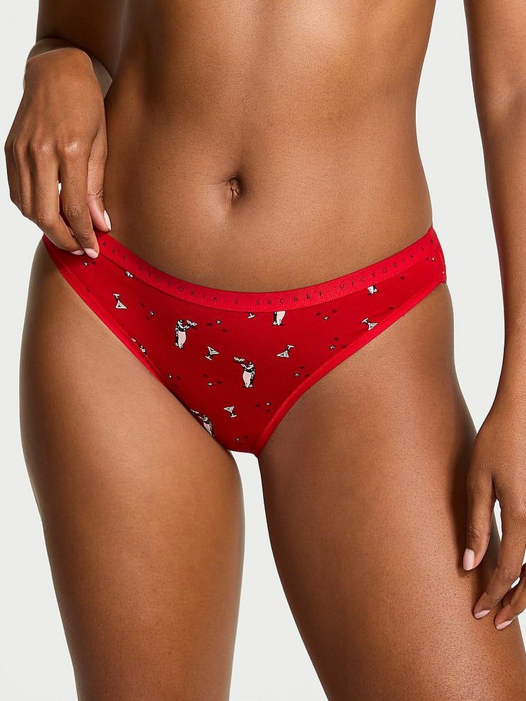 Victoria's Secret Printed Mid-Rise Bikini Briefs-picture-38