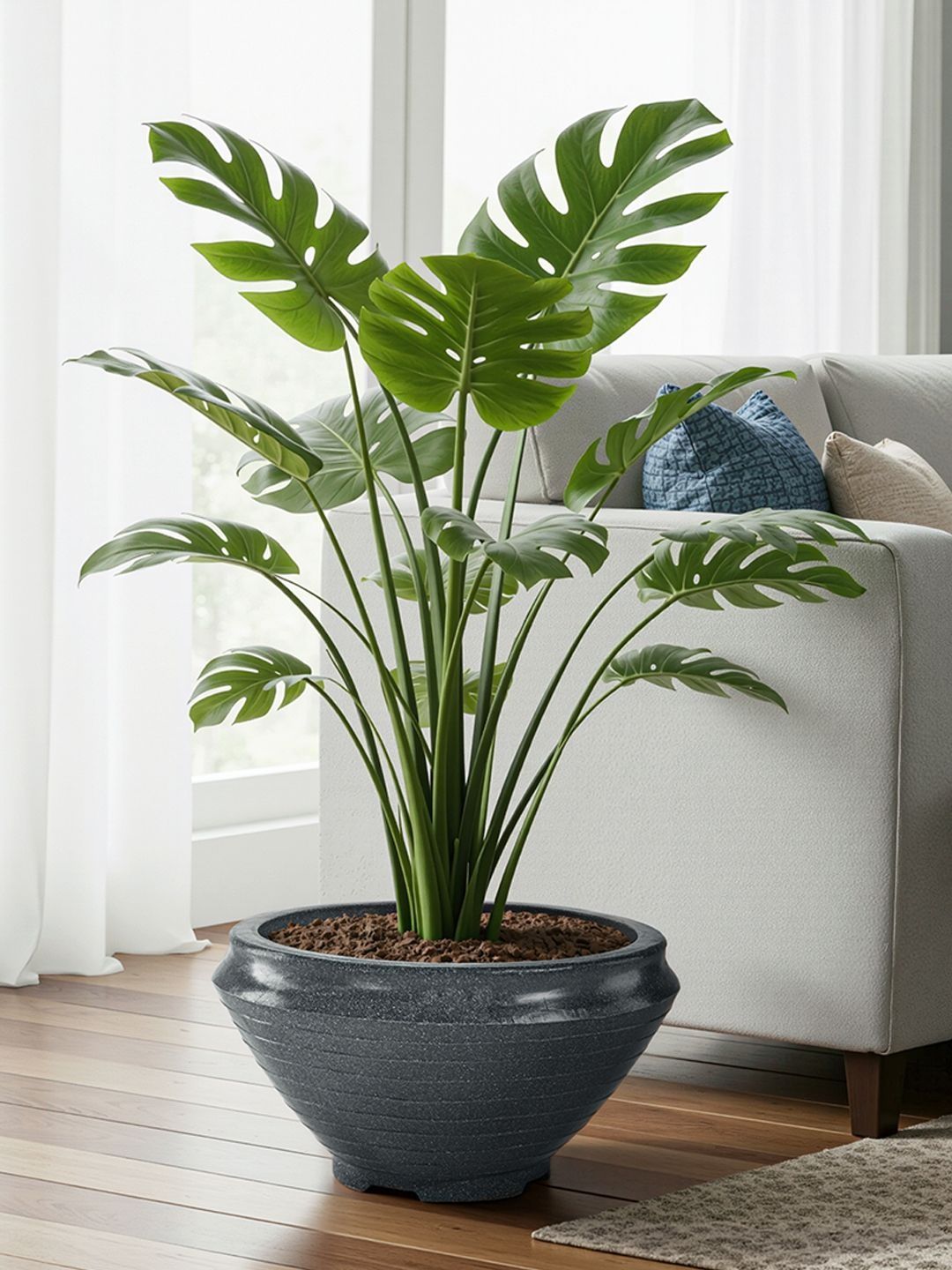 HOMESTIC Grey Rotomould Round Planter With Drainage Hole-picture-23