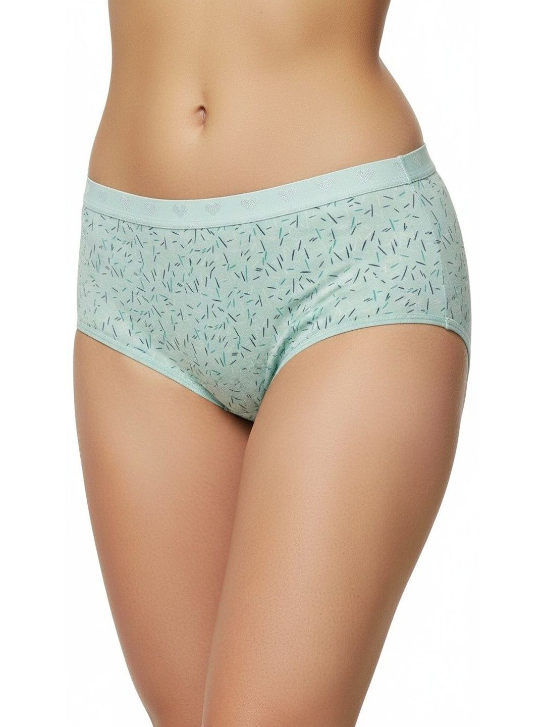 Moda Rapido Printed Pure Cotton Anti-Bacterial Mid-Rise Hipster Briefs-picture-52