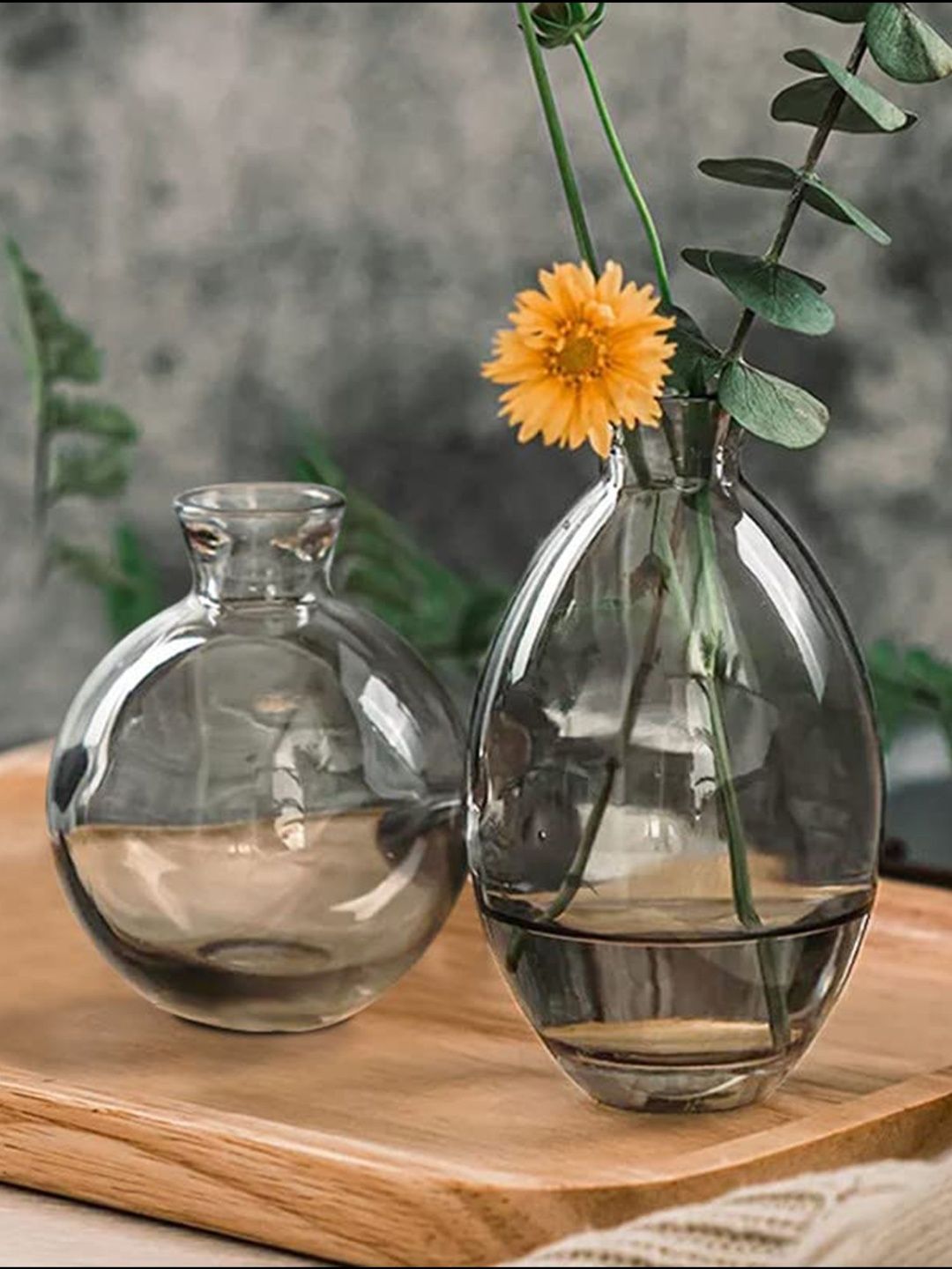 The Purple Tree 2Pcs Grey & Transparent Glass Flower Vases-picture-39