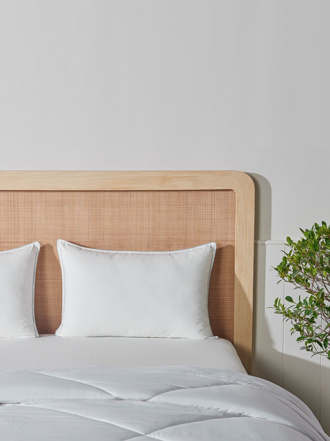 DDecor White Cotton Filled Cotton Breathable Sleep Pillow-picture-48