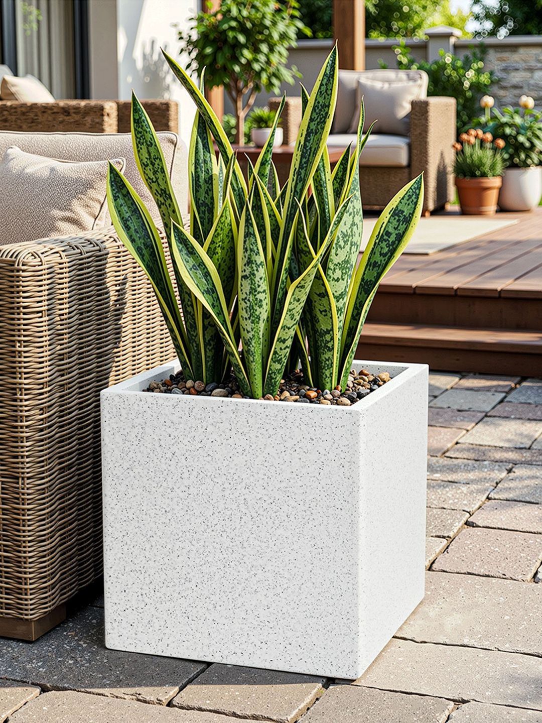 RUBOXA White Rotomould Square Planter With Drainage Hole-picture-34