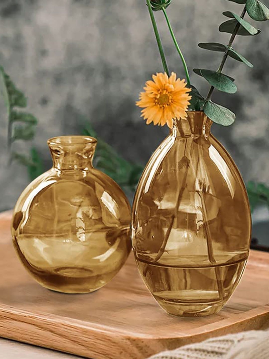 The Purple Tree 2Pcs Camel Brown & Transparent Glass Flower Vases-picture-13