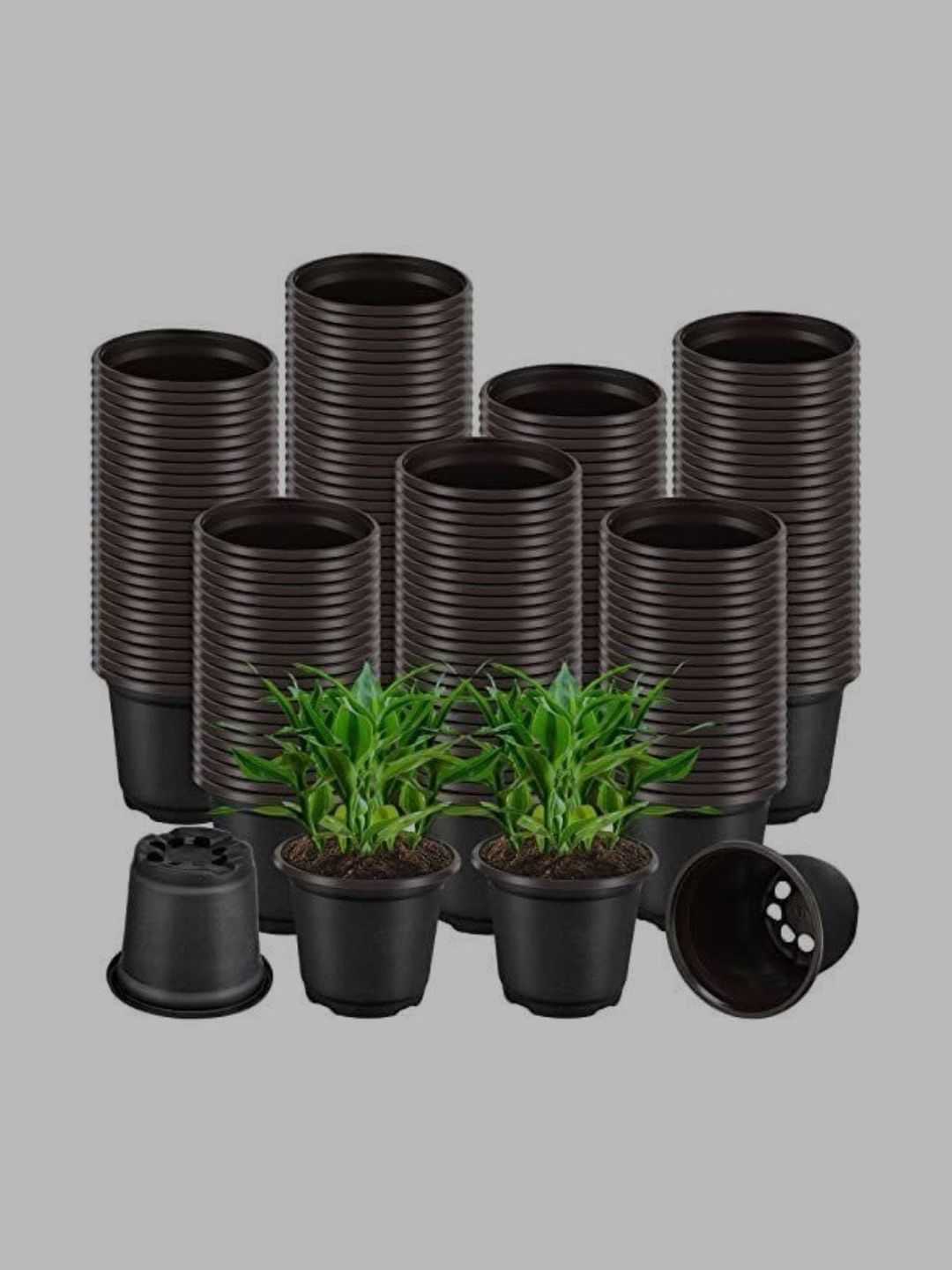 BLUEVISTA 50 Pcs Black Lightweight Nursery Planters-image-19
