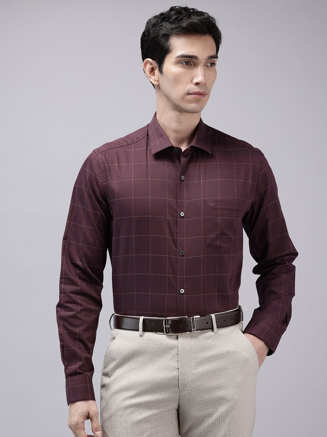 Arrow Manhattan Slim Fit Checked Pure Cotton Formal Shirt-picture-33