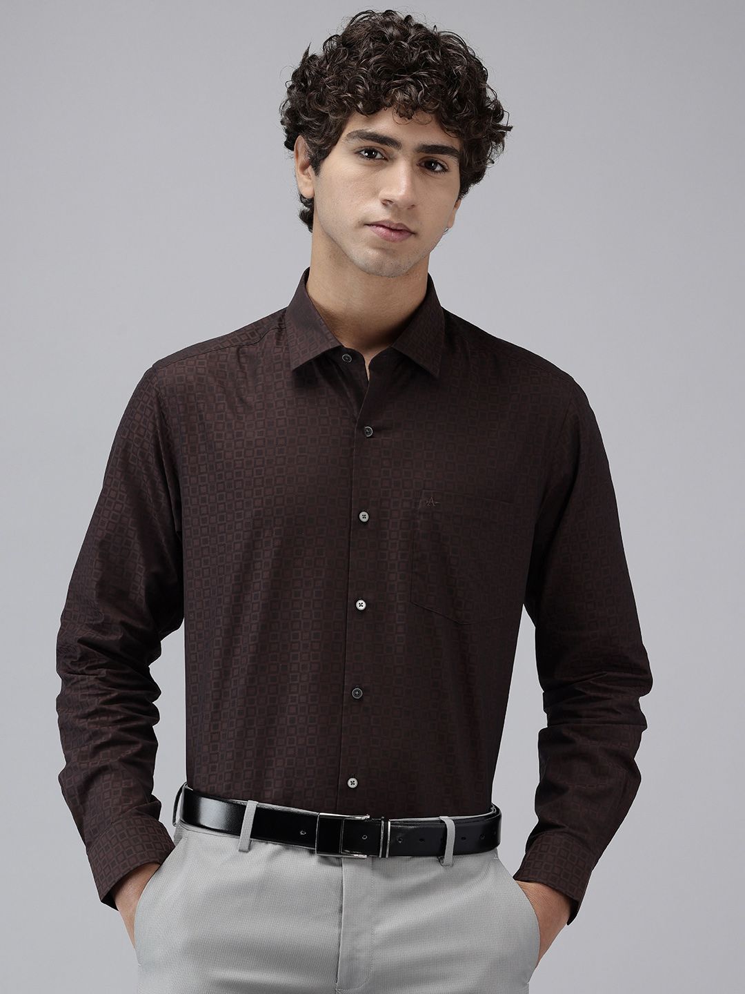 Arrow Pure Cotton Checked Manhattan Slim Fit Formal Shirt-picture-19