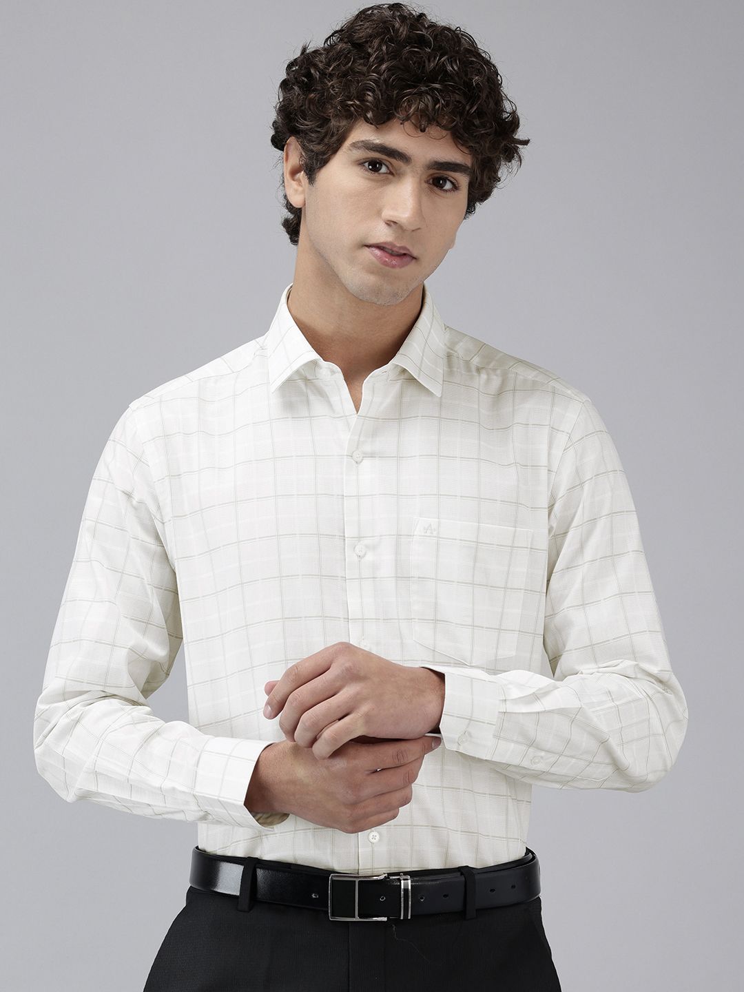 Arrow Manhattan Slim Fit Checked Pure Cotton Formal Shirt