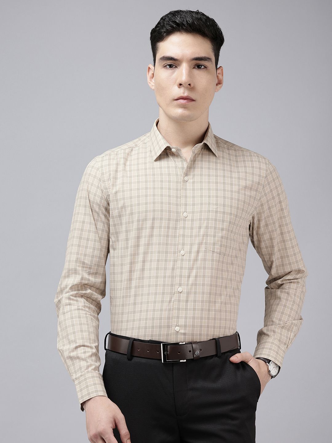 Arrow Manhattan Slim Fit Checked Pure Cotton Formal Shirt-picture-11