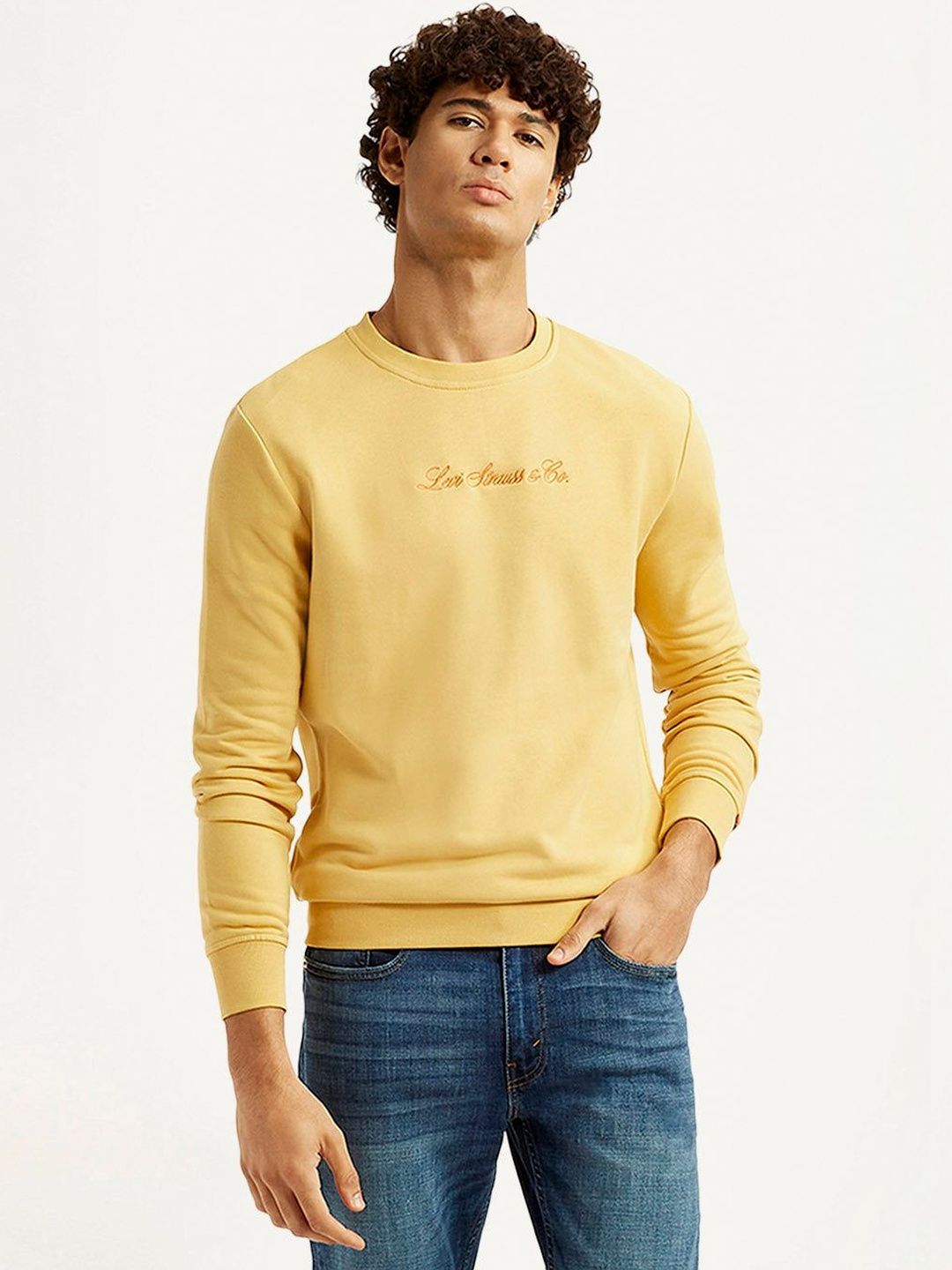 Levis Men Embroidered Sweatshirt-picture-32