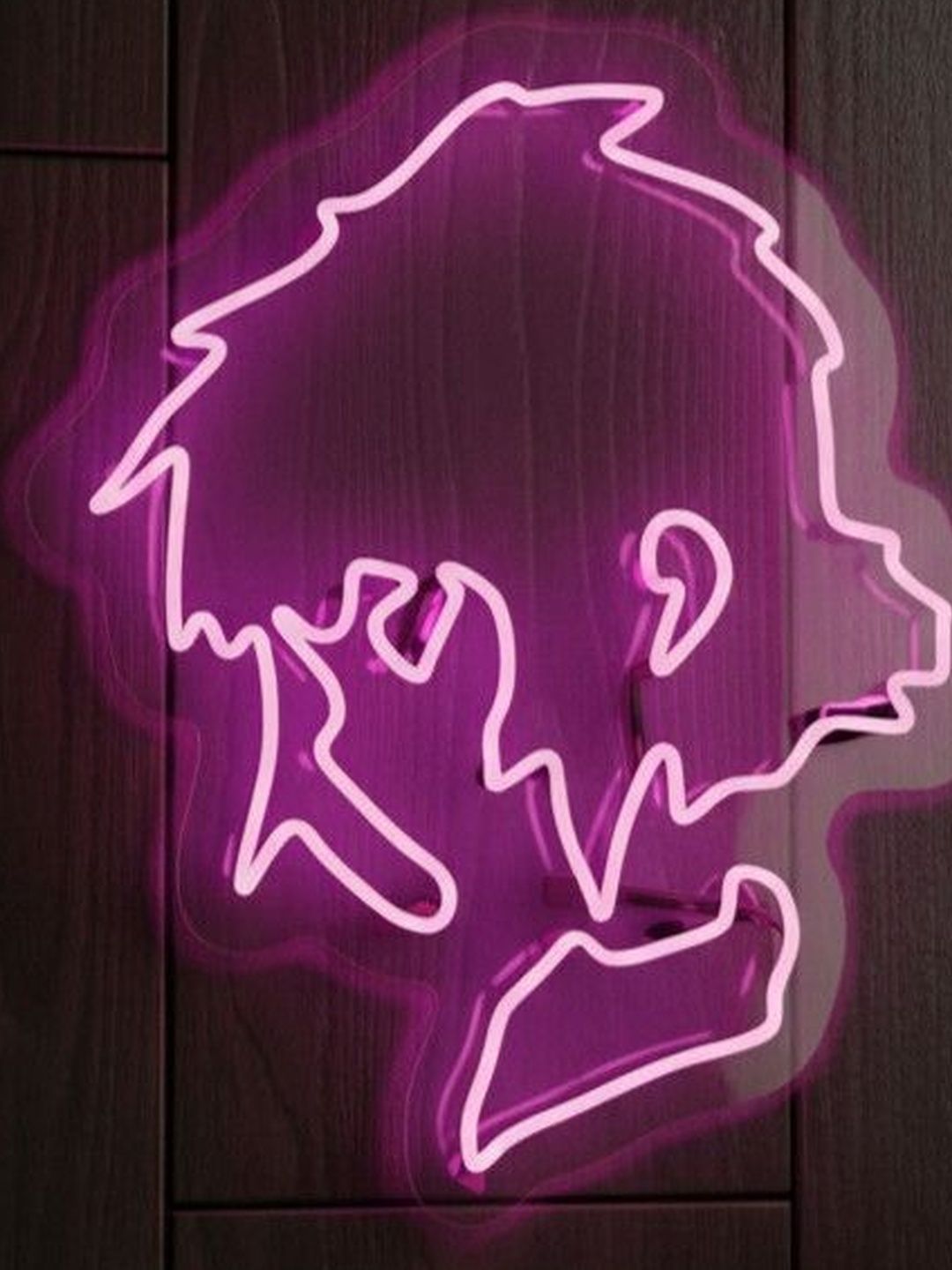 Custom Neon Pink Anime Neon Sign String Lights-picture-24