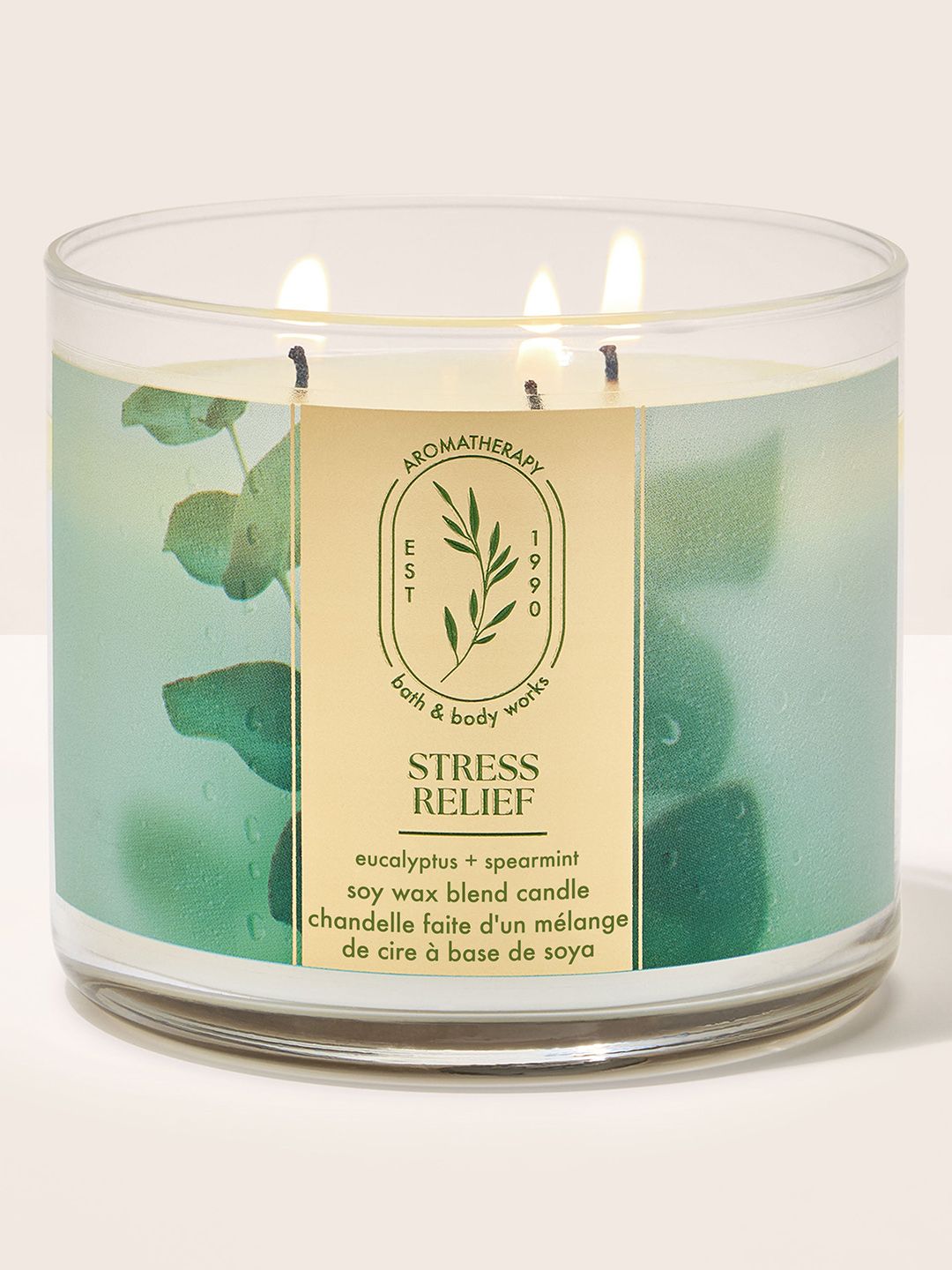 Bath & Body Works Eucalyptus Spearmint 3-Wick Candle - 411 g-picture-38