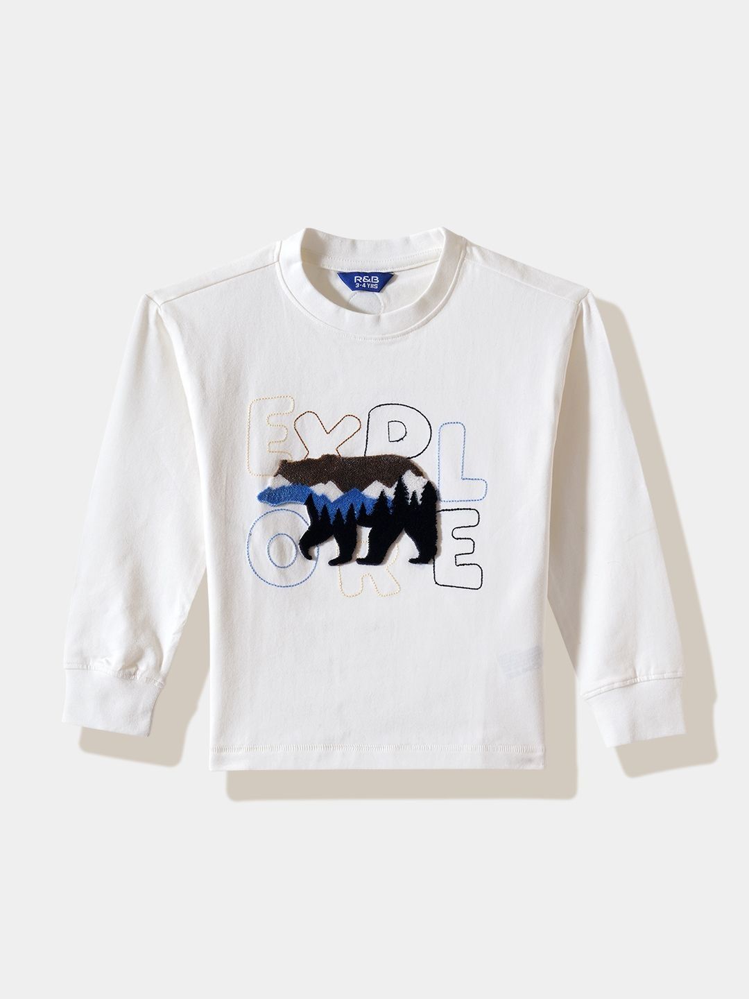 R&B Boys Cotton Tshirts-picture-50