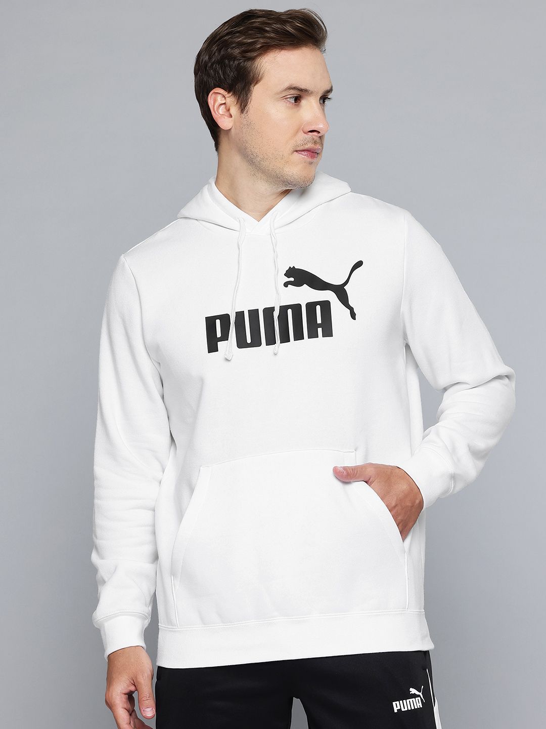 Puma Essentials No. 1 Brand Logo Printed Fleece Hooded Sweatshirt-picture-27