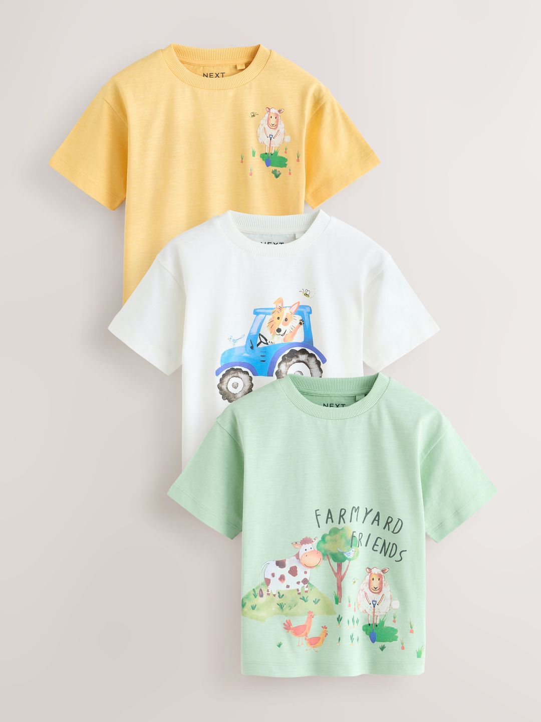 NEXT Boys Pack of 3 Graphic Printed Pure Cotton T-Shirt