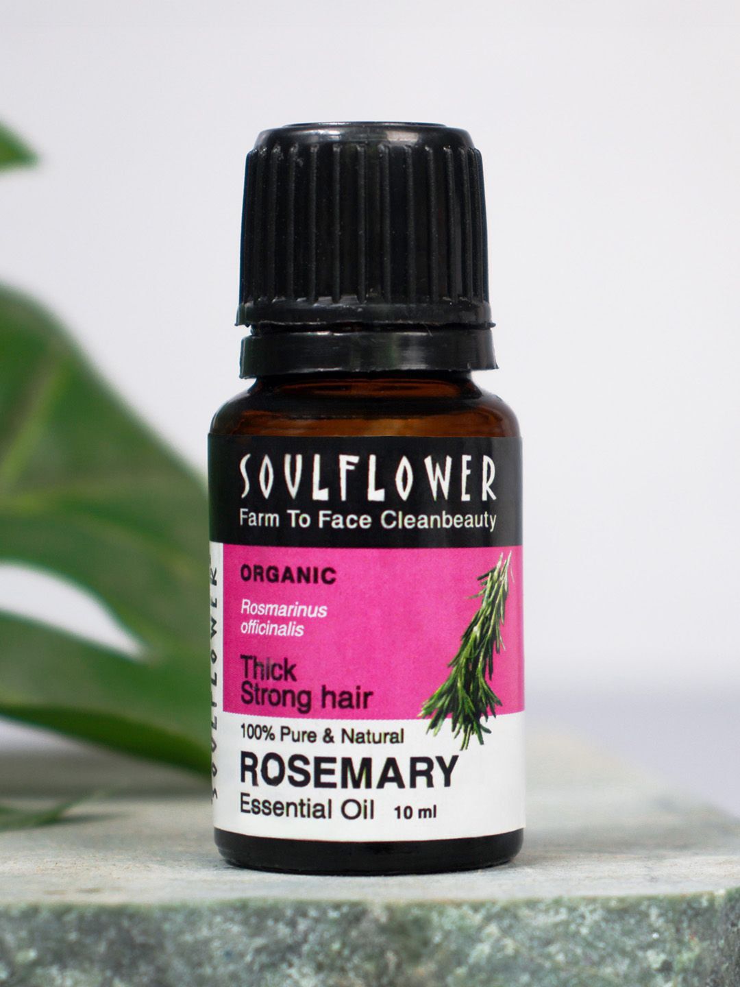 Soulflower Rosemary Essential Oil - 10 ml-picture-36