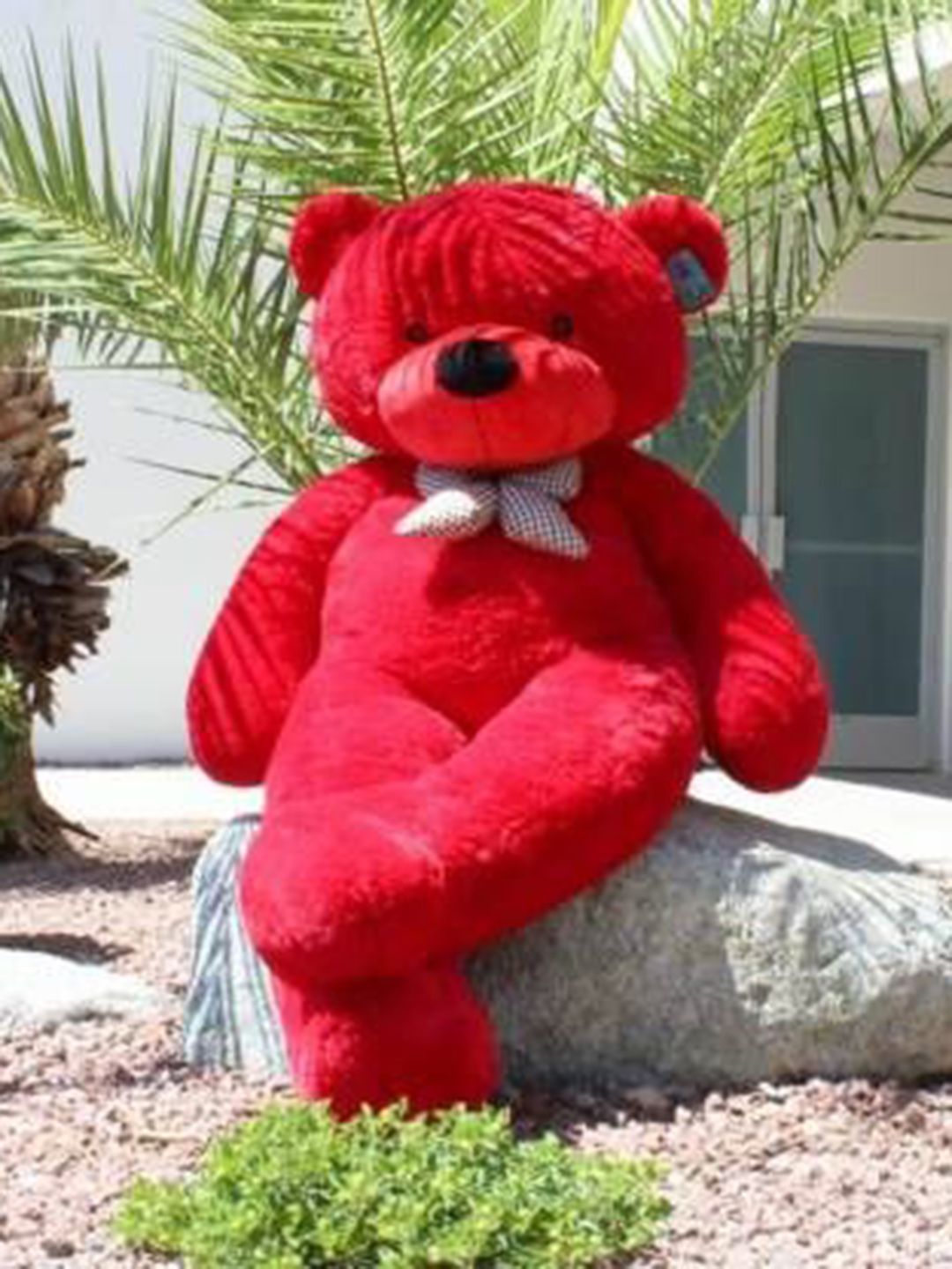 VEERA SOFT TOYS Kids Teddy Bear Soft Toy-image-8