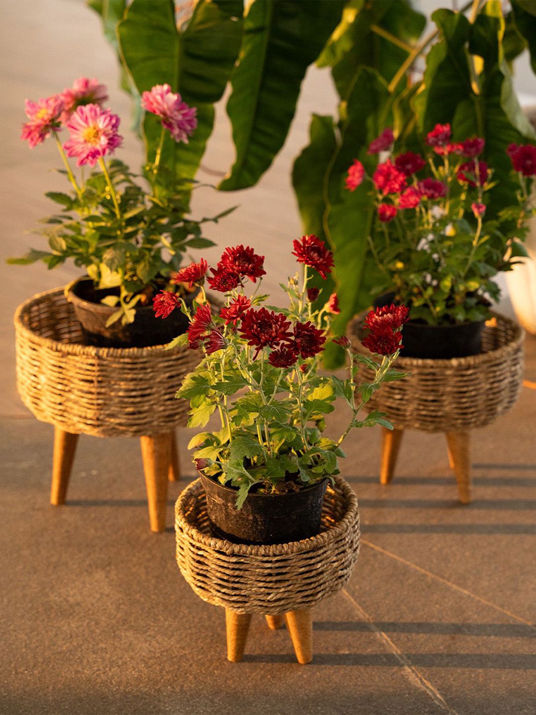TRUSTBASKET Brown 3 Pieces Jute Textured Planters-picture-54