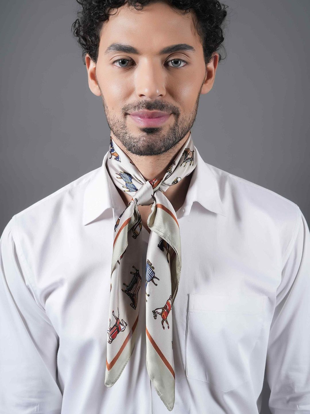 Tossido Men Printed Scarves-picture-30