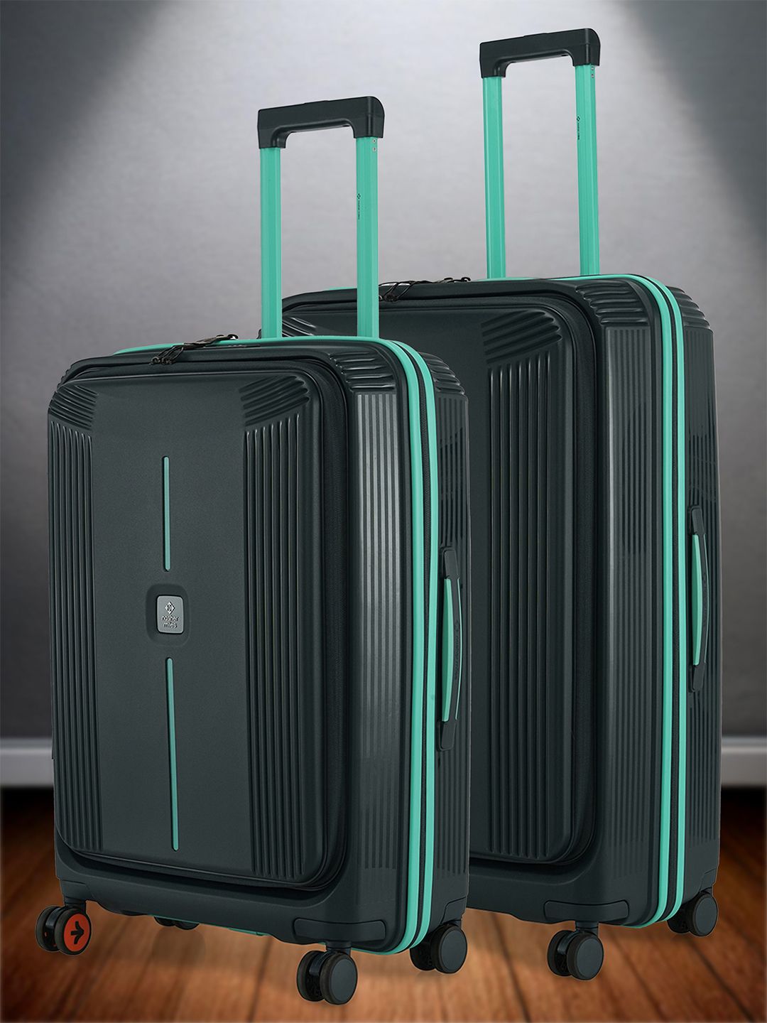 Nasher Miles Alexandria Polypropylene Set of 2 M/L Grey Teal Trolley Bags (65-75 cm)-picture-15