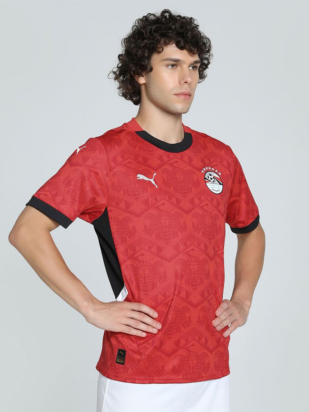 Puma Egypt 2025 Men's Football Home Jersey-picture-58