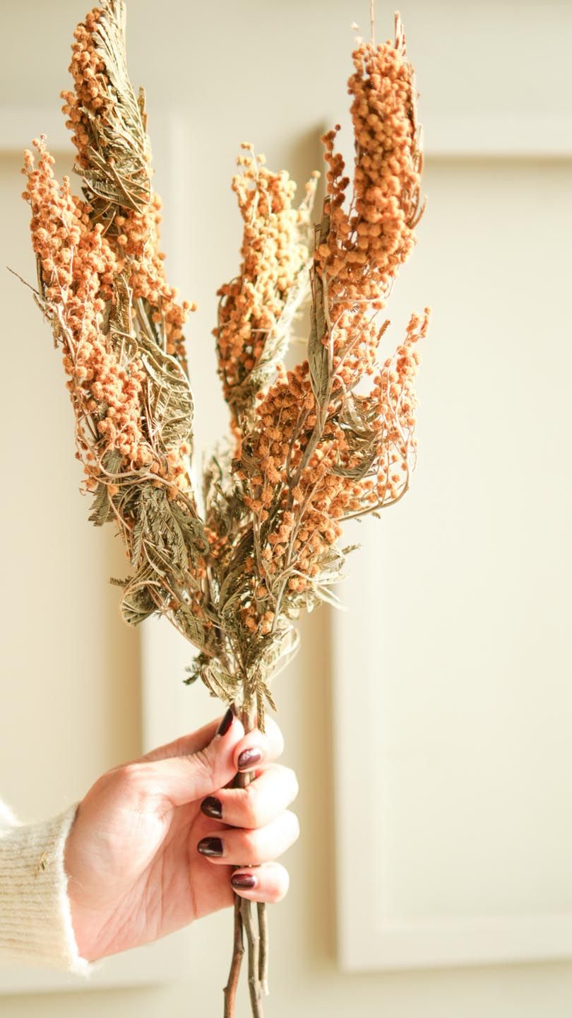 ArteCasa Yellow & Green Dried mimosa Artificial Flower-picture-32